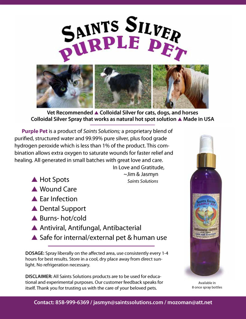 pets solutions